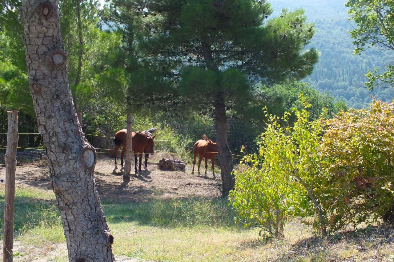 Вилла Az.Agr. Il Cavalleggero Campiglia d'Orcia Экстерьер фото