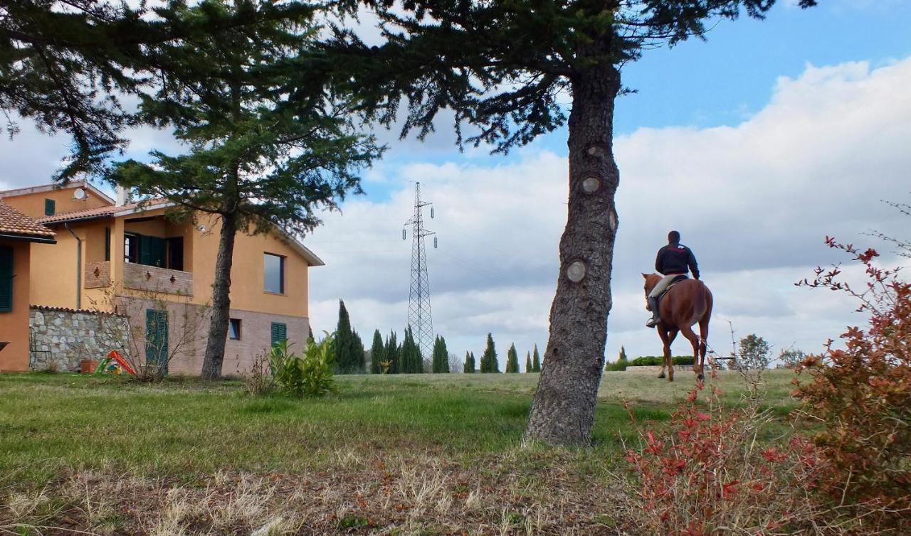 Вилла Az.Agr. Il Cavalleggero Campiglia d'Orcia Экстерьер фото