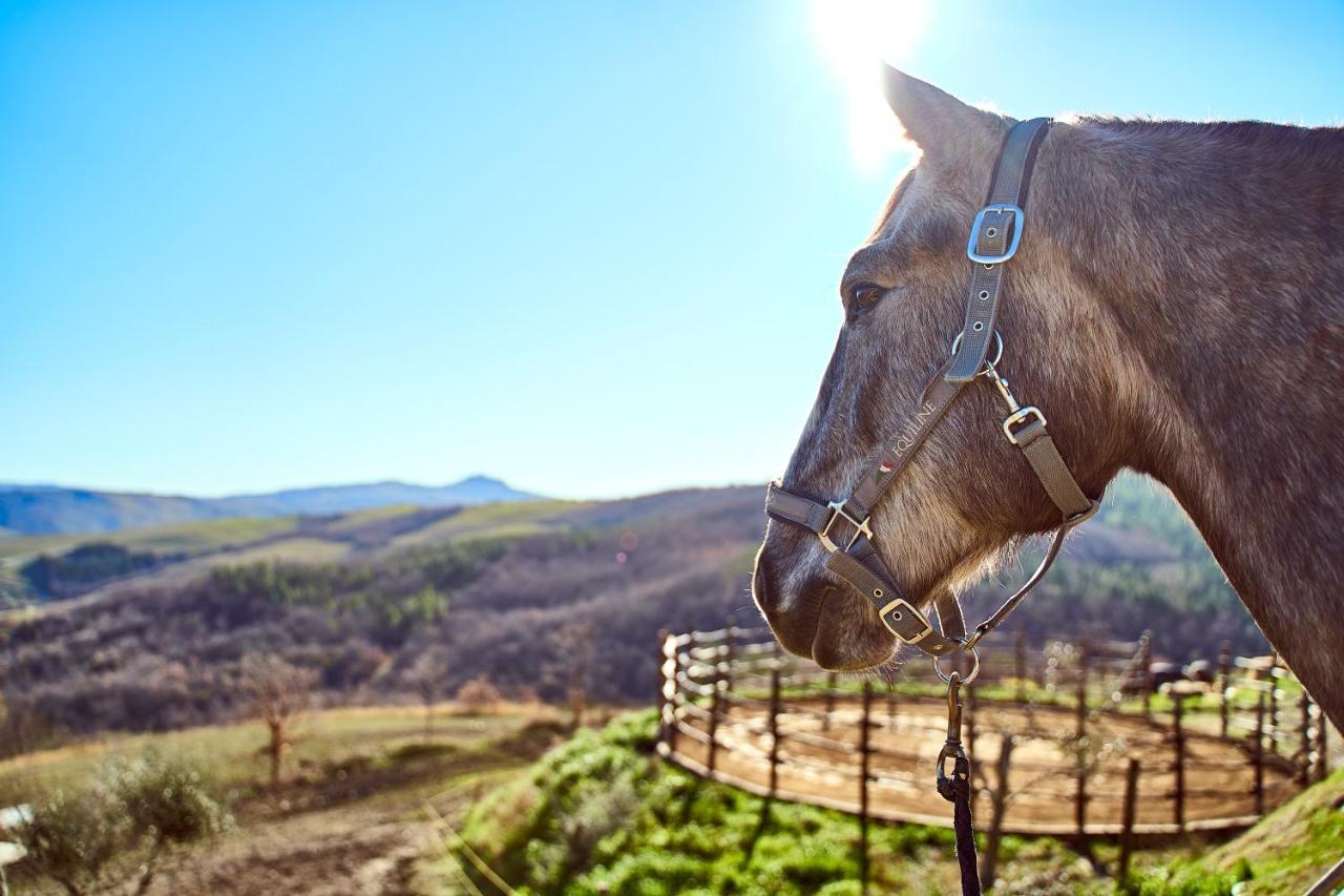 Вилла Az.Agr. Il Cavalleggero Campiglia d'Orcia Экстерьер фото